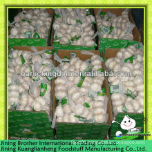 5.0cm China garlic normal white